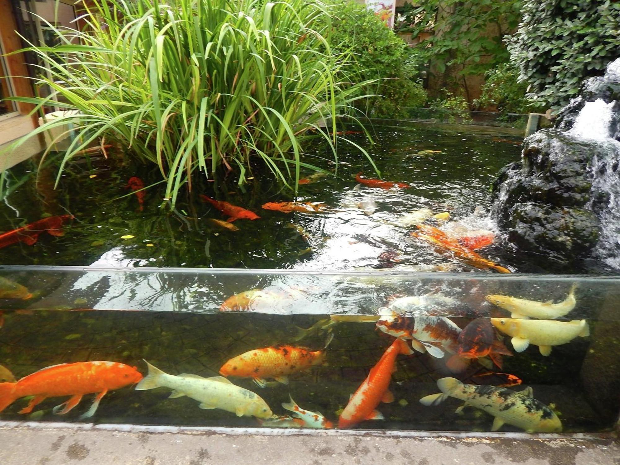 Appealing Apartment In Vezac With Swimming Pool ベナック・エ・カズナック エクステリア 写真